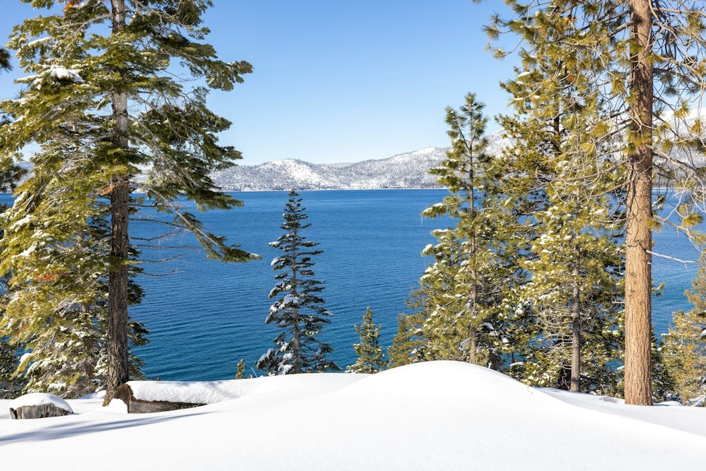 A serene winter landscape with snow-covered trees overlooking a blue lake