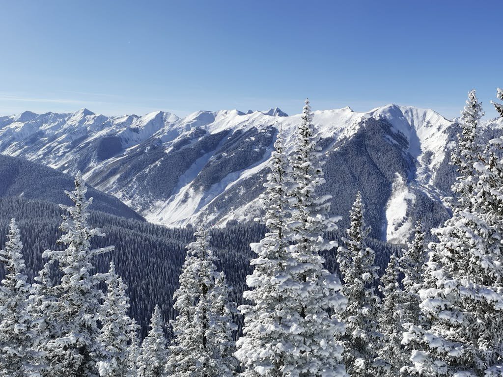 Breathtaking view of snow-covered mountains in Aspen, Colorado, featuring frosted pine trees.