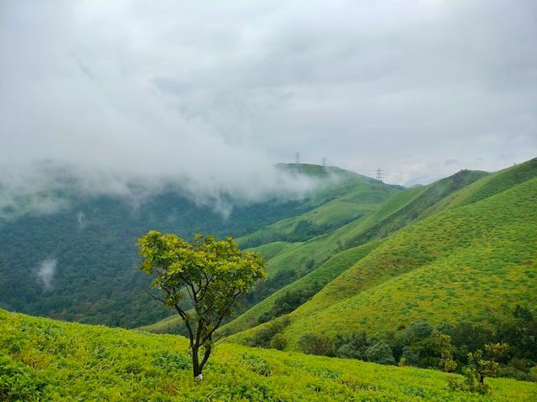 Mountain in Tropical Area