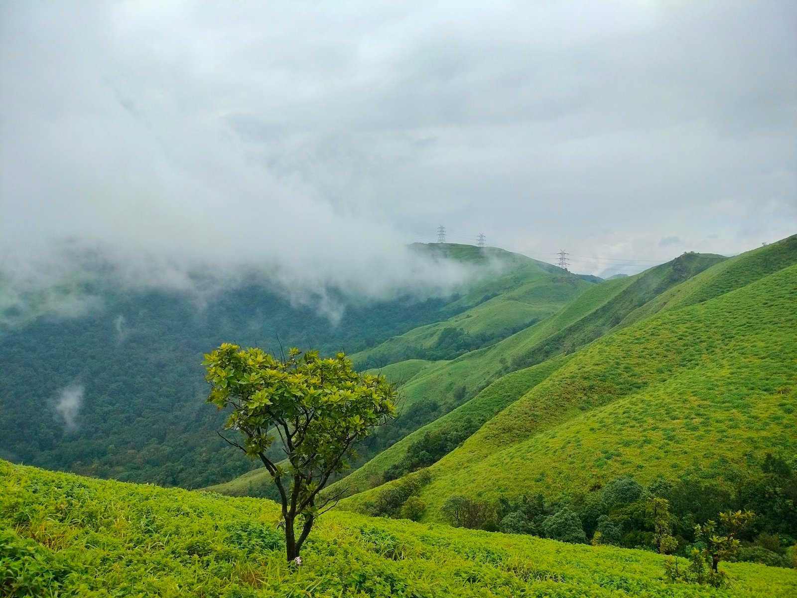 Mountain in Tropical Area
