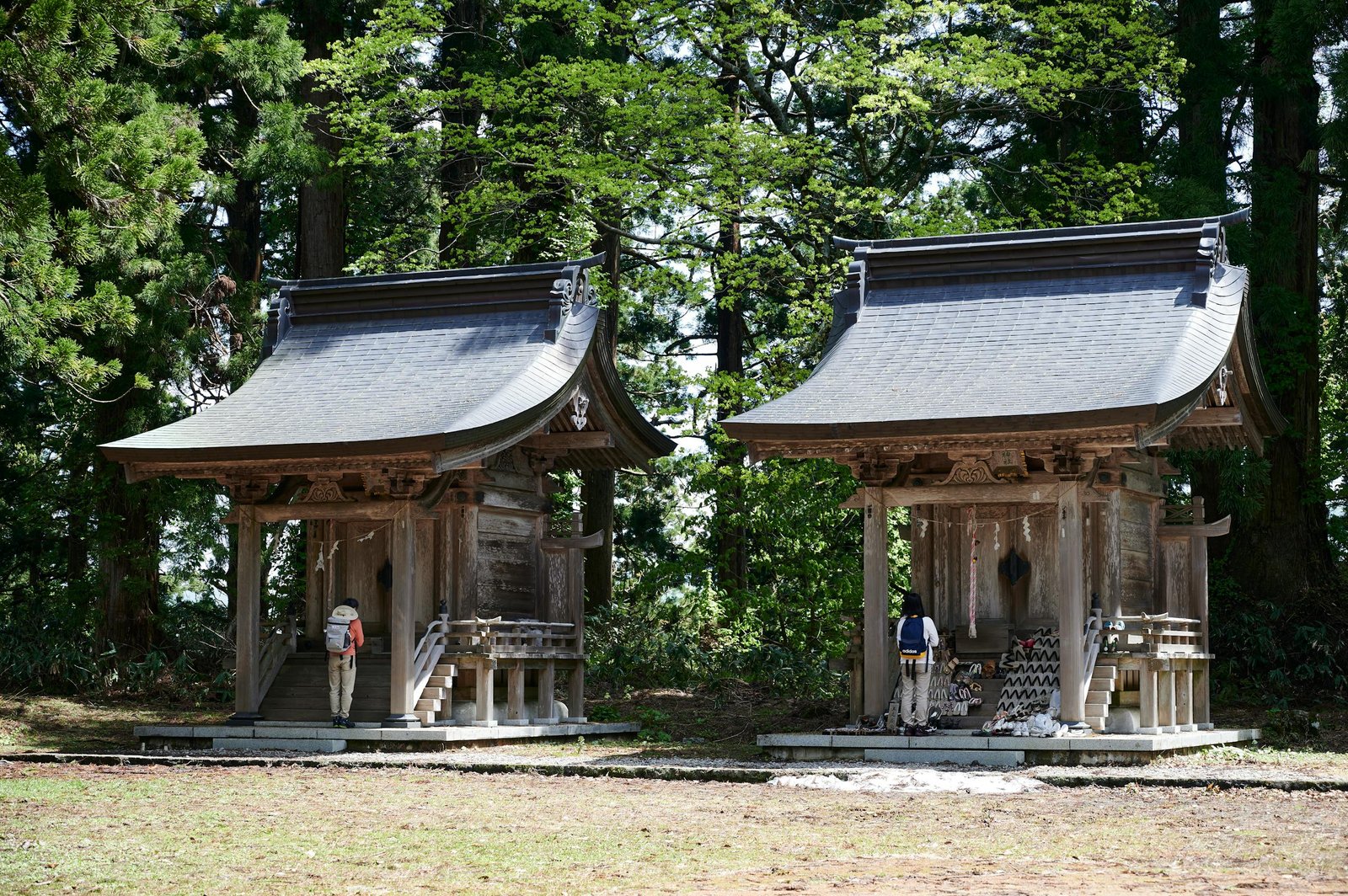 Backpackers visiting traditional shrines in a forest in Tsuruoka, Japan, embracing spirituality.