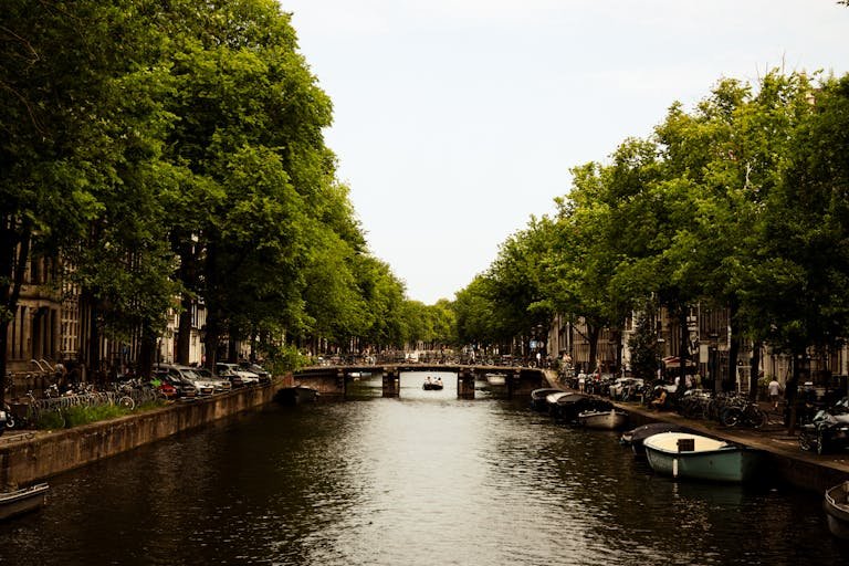 Picturesque view of Amsterdam canal with boats and lush green trees lining the waterway. - Day trips