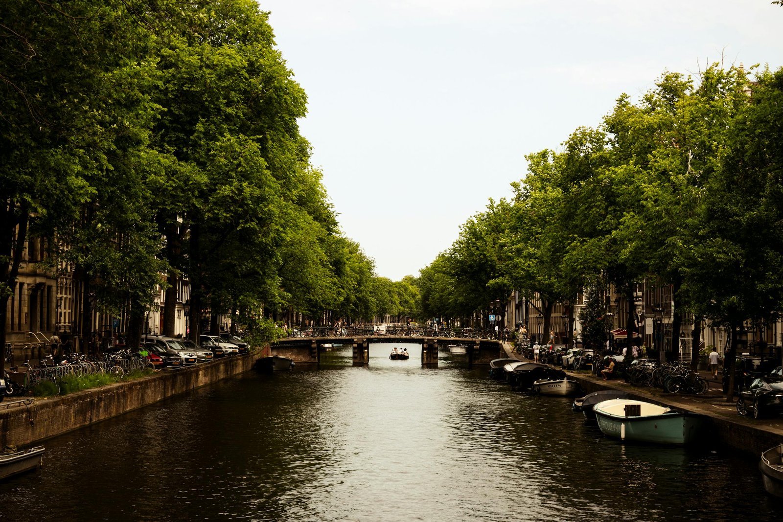 Picturesque view of Amsterdam canal with boats and lush green trees lining the waterway. - Day trips