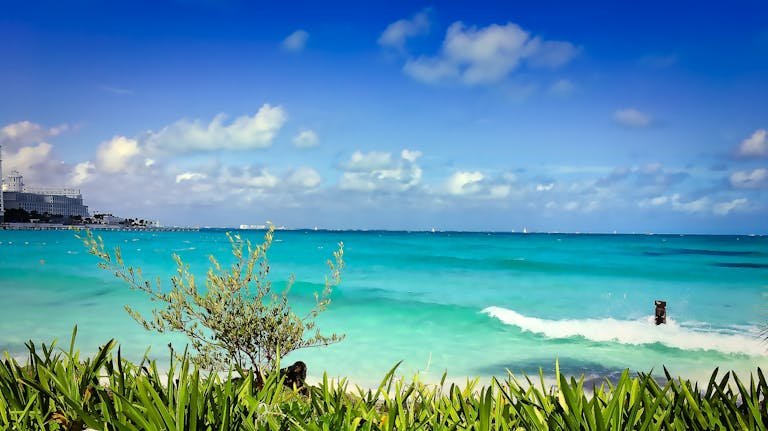 Vibrant beach with turquoise waters and green foliage in Cancun, Mexico, under a clear blue sky.
