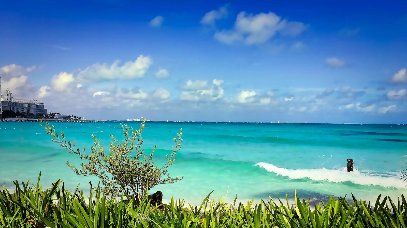 Vibrant beach with turquoise waters and green foliage in Cancun, Mexico, under a clear blue sky.
