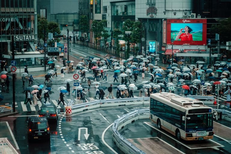 Crowds crossing Shibuya intersection in Tokyo under umbrellas on a rainy day.
