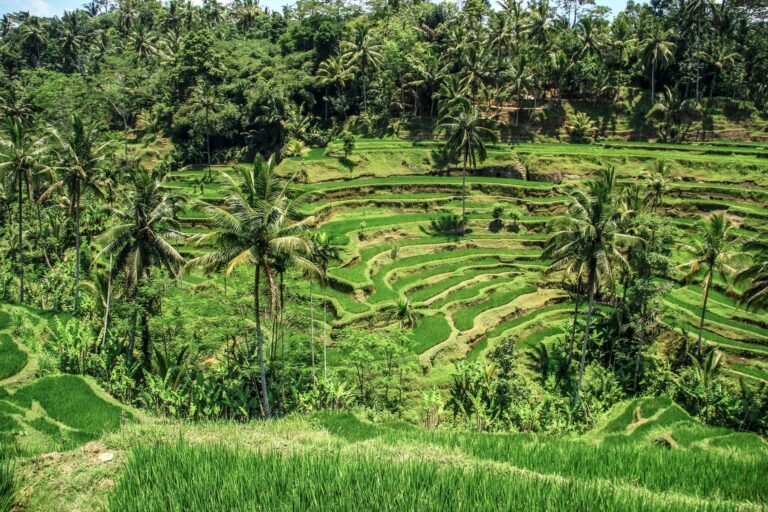 Lombok: Bali’s Untouched Paradise